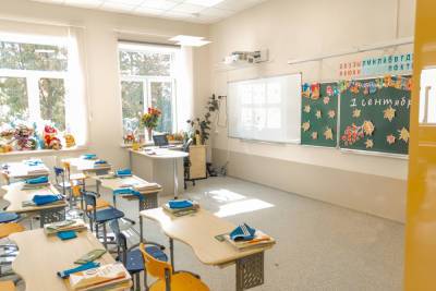 В Рязанской области на 12% выросло число молодых учителей в школах