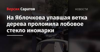 На Яблочкова упавшая ветка дерева проломила лобовое стекло иномарки