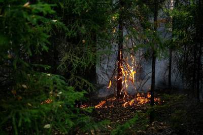 В Свердловской области — новый природный пожар, который угрожает садам