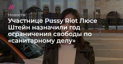 Участнице Pussy Riot Люсе Штейн назначили год ограничения свободы по «санитарному делу»