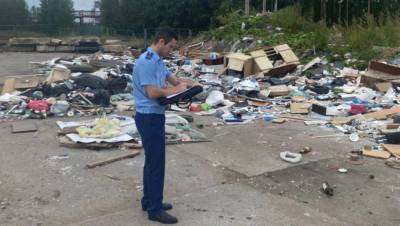 Прокурорская проверка подтвердила информацию о свалке в Колпино