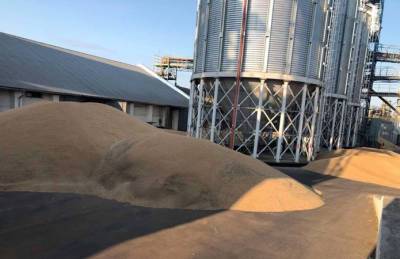 Ситуация с вывозом зерна с Тернопольщины не улучшилась - agroportal.ua - Украина - Тернопольская обл.