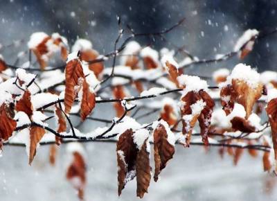 Какой будет осень и где ждать первого снега в Украине – прогноз народного синоптика