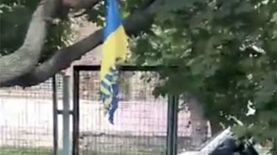 В Киеве подростки в День независимости сожгли флаг Украины