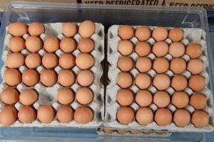 В Украине возникли проблемы с яйцами