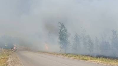 Ещё три автобуса отправили на эвакуацию воронежцев из-за пожара на Кожевенном кордоне