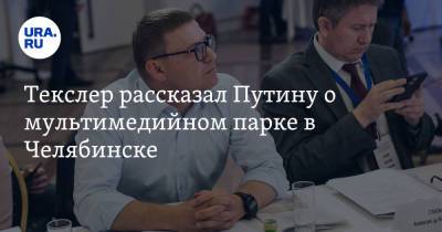 Текслер рассказал Путину о мультимедийном парке в Челябинске