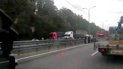 Жёсткое ДТП с фурой спровоцировало пробку в 4,5 км на М-4 «Дон» под Воронежем