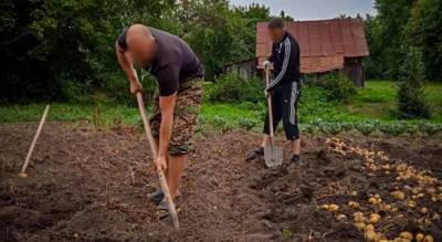 Чувашские омоновцы выкопали картошку родителям погибшего товарища