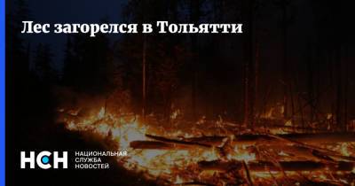 Лес загорелся в Тольятти