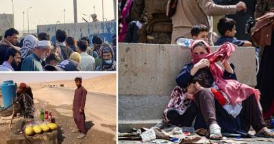Война в Афганистане – в ООН завили об угрозе голода – последние новости