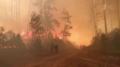 В Мордовском заповеднике в огненной ловушке оказались больше 50 пожарных