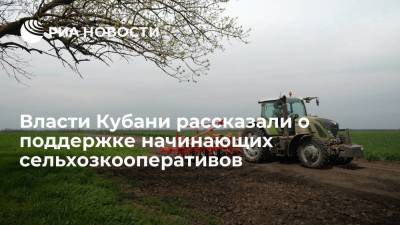 Власти Краснодарского края направили на начинающие сельхозкооперативы более 600 миллионов рублей
