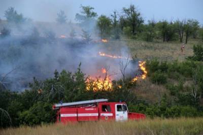 Санаторий и СНТ эвакуируют из-за природного пожара в Свердловской области