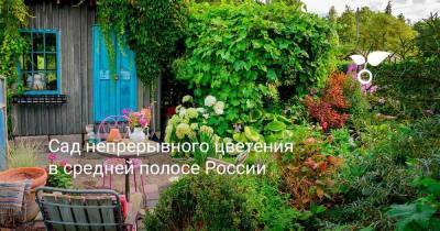 Сад непрерывного цветения в средней полосе России