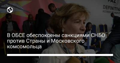 В ОБСЕ обеспокоены санкциями СНБО против Страны и Московского комсомольца