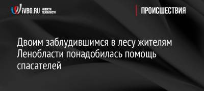 Двоим заблудившимся в лесу жителям Ленобласти понадобилась помощь спасателей