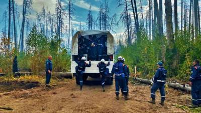 В МЧС рассказали о ситуации с пожаром в заповеднике в Мордовии