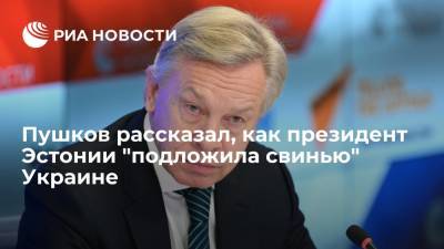 Сенатор Пушков: президент Эстонии своими высказываниями "подложила свинью" Украине