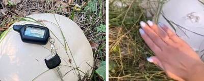 В лесу Бердска сибирячка нашла гигантские грибы