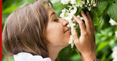 Самые ароматные: 7 комнатных растений с приятным запахом для уюта в доме
