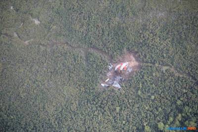 Сахалинец считает, что лес на острове загорелся из-за поджога истребителя