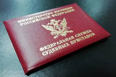 Жительница Хабаровского края получила 10 суток за неуплату алиментов
