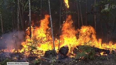 В Самарской области тушат крупный пожар в Тольяттинском лесничестве