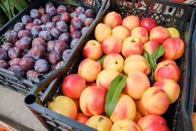 Диетолог назвала опасные последствия переедания фруктами осенью
