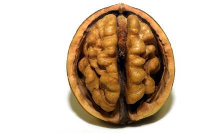 Российский диетолог причислила орехи и куркуму к продуктам для улучшения мозговой деятельности