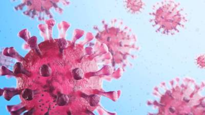 ВОЗ: Установить истину о происхождении коронавируса становится все труднее