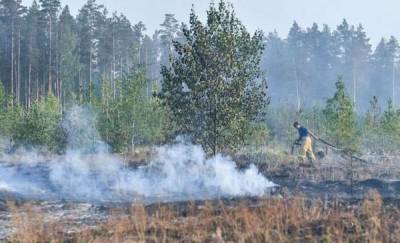 Тюмень накрыл смог из-за лесных пожаров в Исетском районе
