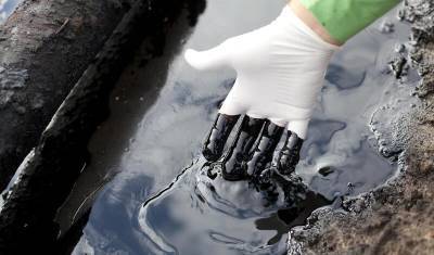 Новороссийск не скоро переживет разлив нефти, но КТК за все ответит