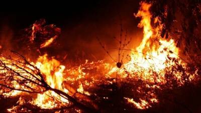 Волонтеры и пожарные ведрами спасли от огня деревню под Первоуральском
