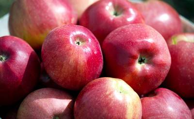 Эксперт предупредил об опасности чрезмерного употребления фруктов