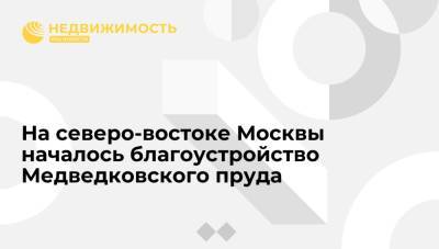 На северо-востоке Москвы началось благоустройство Медведковского пруда