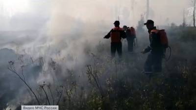 За последние сутки в России ликвидировали более ста природных пожаров