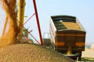 Белоруссия ввела запрет на вывоз зерна сроком на полгода
