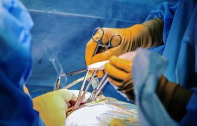 Врачи в Приморье впервые провели операции по трансплантации почек