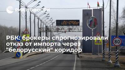 РБК: брокеры спрогнозировали серьезное сокращение импорта в Россию через "белорусский" коридор