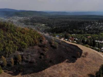 В сети появились видео с места тушения природного пожара в Аше