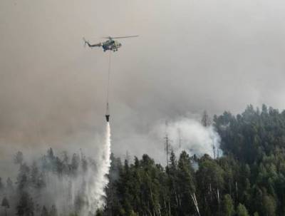 Росгвардия задействована в ликвидации лесных пожаров в Нижегородской области и Мордовии