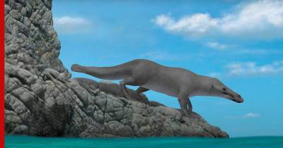 В Египте обнаружили окаменелость кита с четырьмя лапами