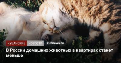 В России домашних животных в квартирах станет меньше
