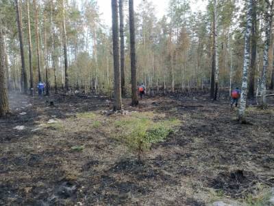 Пожарные ликвидируют тлеющие очаги на площади 16 га в лесах Марий Эл