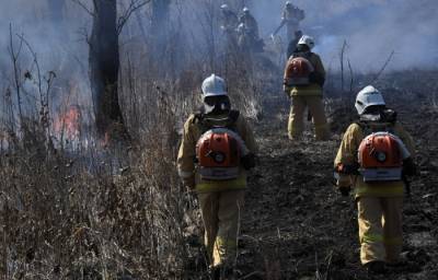 Лесные пожары на площади более 51 тыс. га тушат на севере Иркутской области