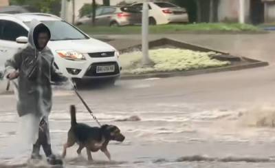 Дождливый циклон атакует Одессу, погода резко изменится: к чему готовиться