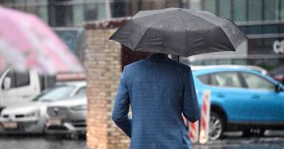 Москвичей предупредили о сильных дождях с грозами