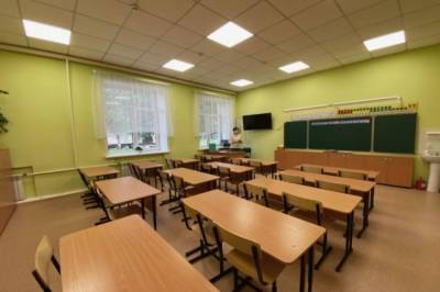 В Минпросвещения надеются, что новый учебный год в школах пройдет очно