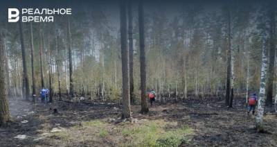 В лесах Марий Эл потушили активное горение
